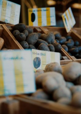 CHRISTIN <br> BÜTTNER