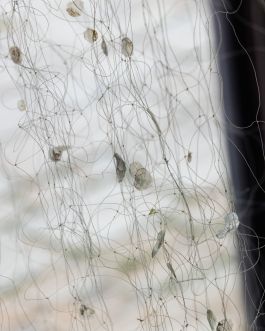 CHRISTIN <br> BÜTTNER