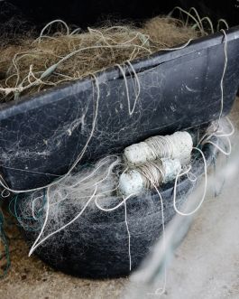 CHRISTIN <br> BÜTTNER