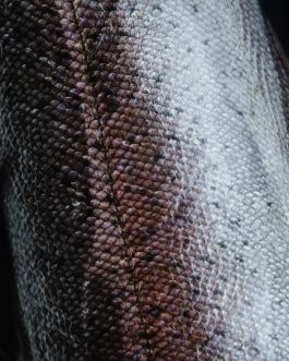 CHRISTIN <br> BÜTTNER