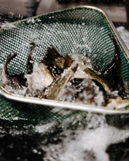 CHRISTIN <br> BÜTTNER