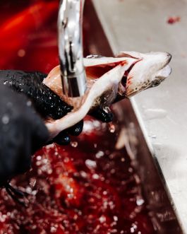 CHRISTIN <br> BÜTTNER