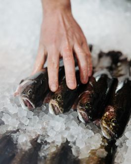 CHRISTIN <br> BÜTTNER