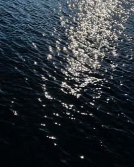 CHRISTIN <br> BÜTTNER