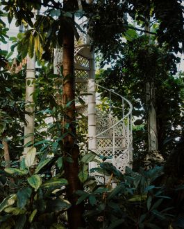 CHRISTIN <br> BÜTTNER