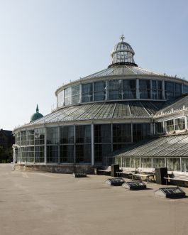 CHRISTIN <br> BÜTTNER