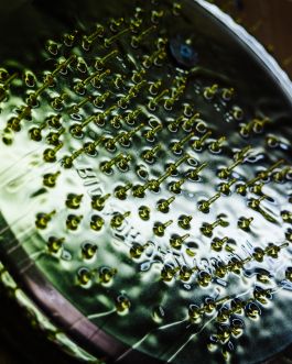 CHRISTIN <br> BÜTTNER