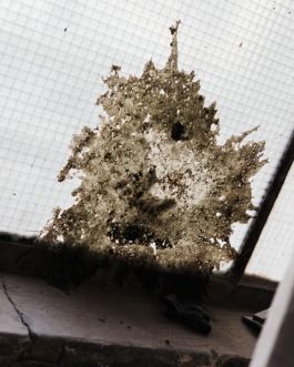 CHRISTIN <br> BÜTTNER