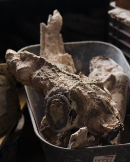 CHRISTIN <br> BÜTTNER