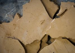 CHRISTIN <br> BÜTTNER