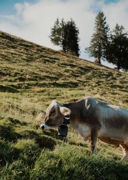 CHRISTIN <br> BÜTTNER