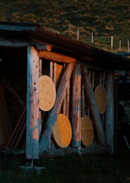 CHRISTIN <br> BÜTTNER