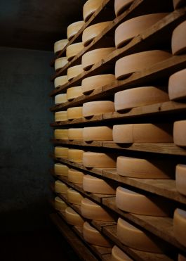 CHRISTIN <br> BÜTTNER