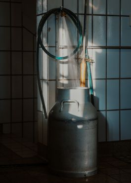 CHRISTIN <br> BÜTTNER