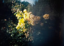 CHRISTIN <br> BÜTTNER