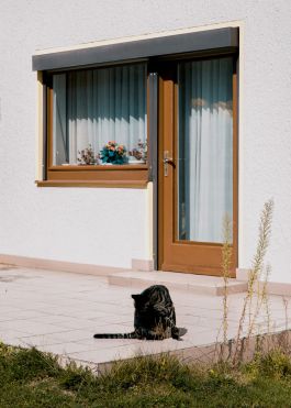 CHRISTIN <br> BÜTTNER