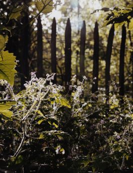 CHRISTIN <br> BÜTTNER