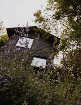 CHRISTIN <br> BÜTTNER