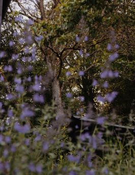 CHRISTIN <br> BÜTTNER