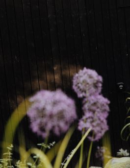 CHRISTIN <br> BÜTTNER