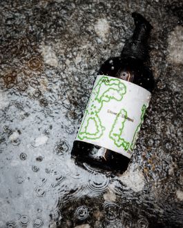 CHRISTIN <br> BÜTTNER