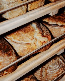 CHRISTIN <br> BÜTTNER