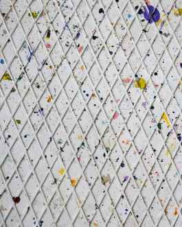 CHRISTIN <br> BÜTTNER